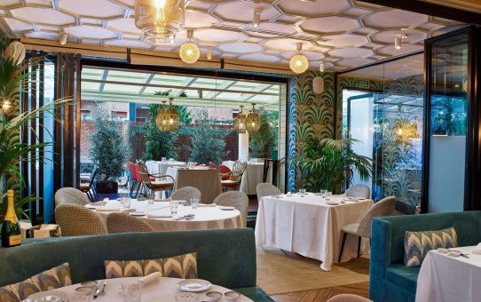 Dogma: la fe en el producto de calidad por encima de todo