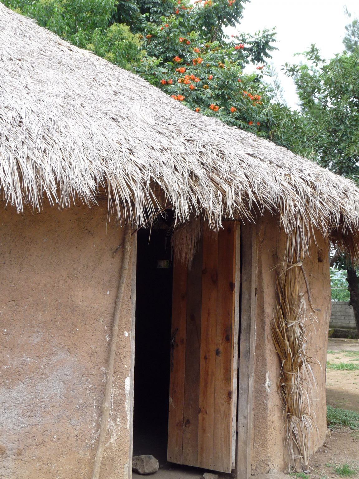 Los Huicholes y la magia de los sanadores mayas Gastronomoyviajero