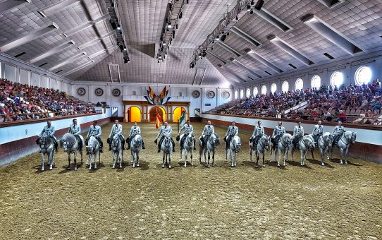 Cómo bailan los caballos andaluces en Jerez de la Frontera
