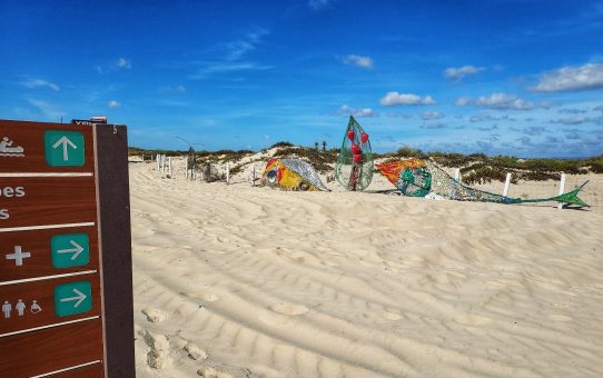 Parque de Ría Formosa: un oasis en el Algarve