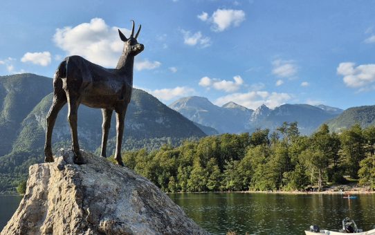Bohinj: el lago más grande de Eslovenia